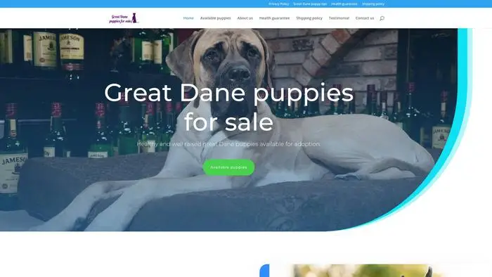 Screenshot of
