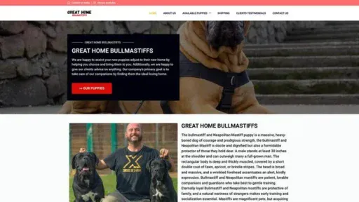 Screenshot of|