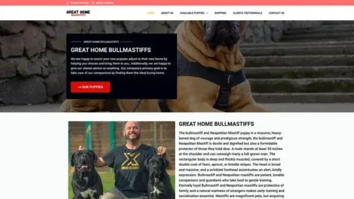 Screenshot of