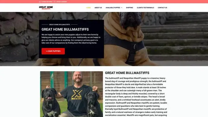 Screenshot of