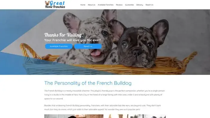 Screenshot of