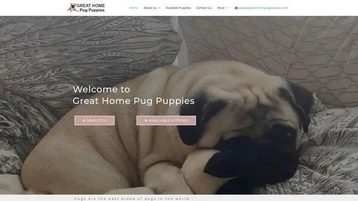 Screenshot of