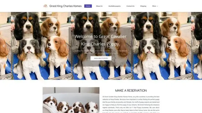 Screenshot of