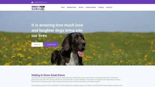 Screenshot of