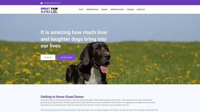 Screenshot of