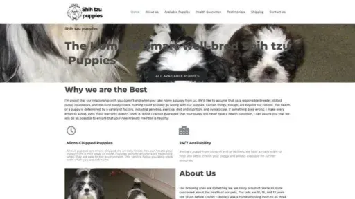Screenshot of