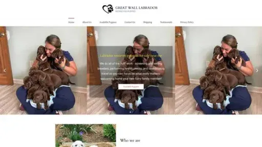 Screenshot of