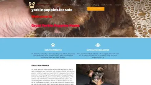 Screenshot of