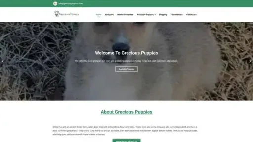 Screenshot of