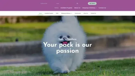 Screenshot of