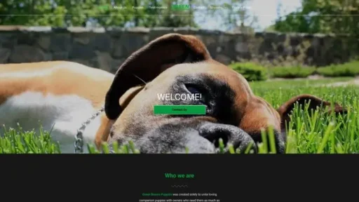 Screenshot of