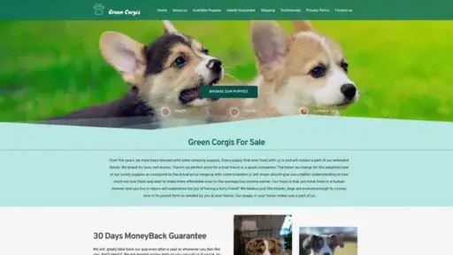 Screenshot of
