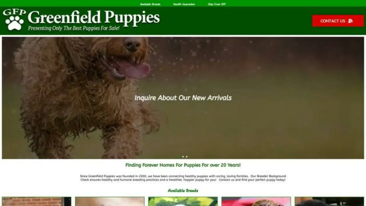 Greenfield-puppies-dog-breeders