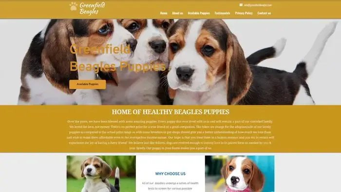 Screenshot of