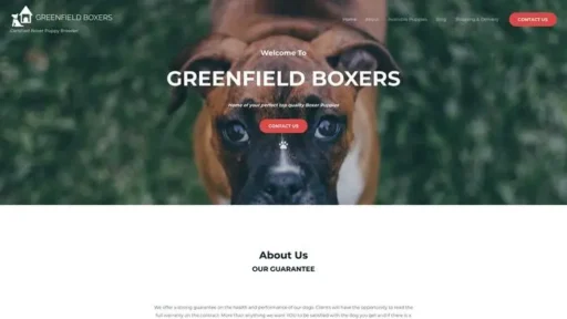 Screenshot of