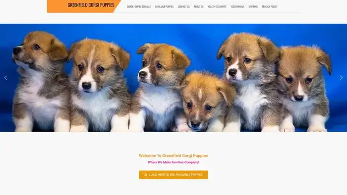 Screenshot of
