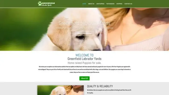Screenshot of