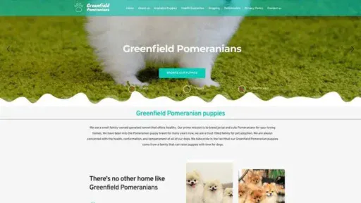 Screenshot of