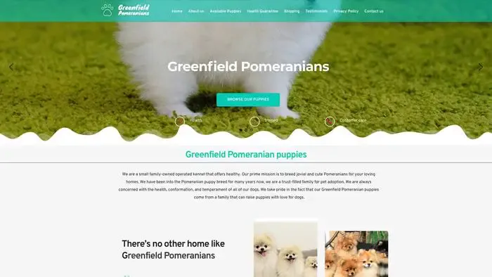 Screenshot of