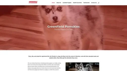 Screenshot of