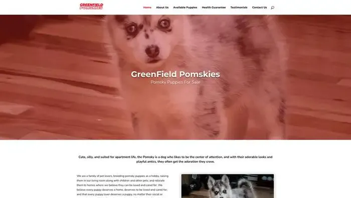 Screenshot of