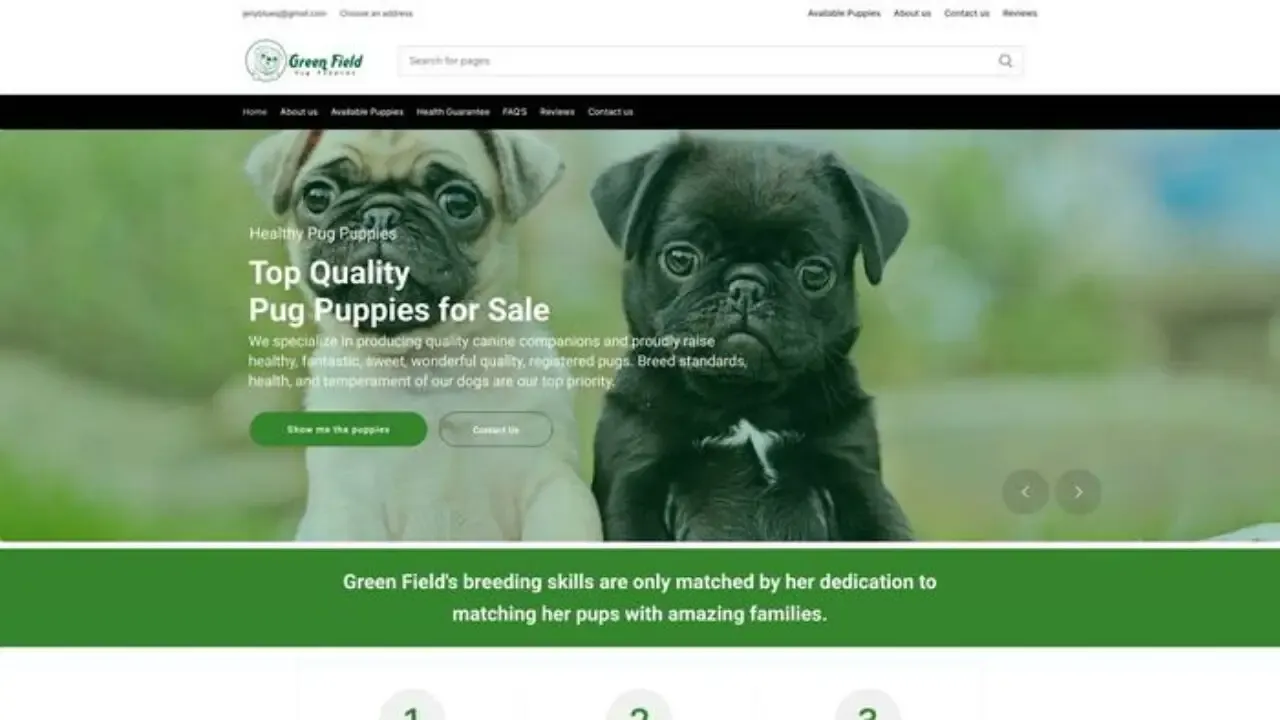 Greenfieldpugpuppies