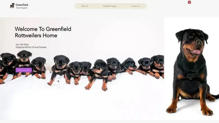 Screenshot of