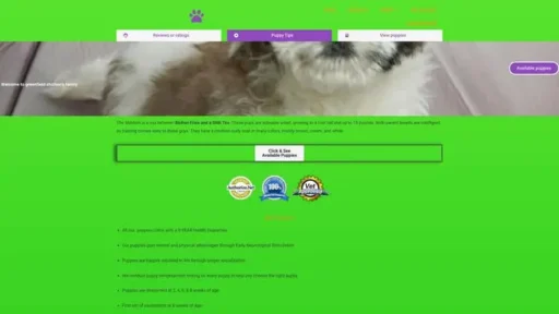Screenshot of