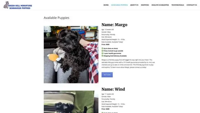 Screenshot of