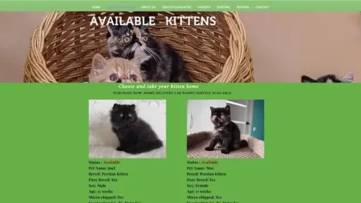 Screenshot of