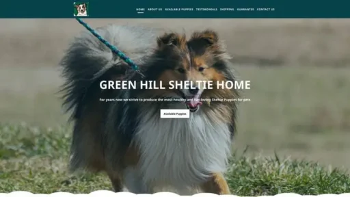 Screenshot of