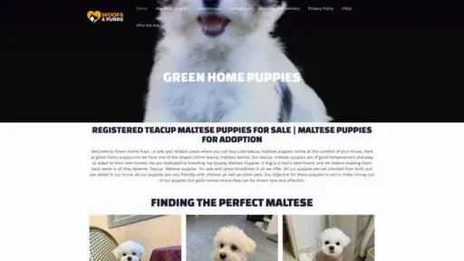 Screenshot of