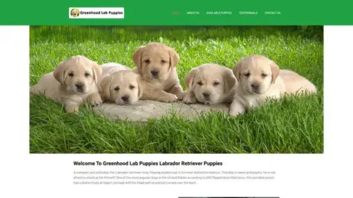 Screenshot of
