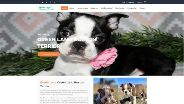 Screenshot of