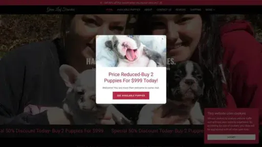 Screenshot of