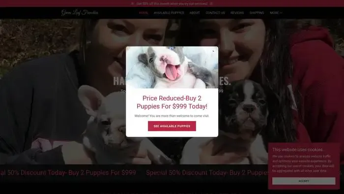 Screenshot of