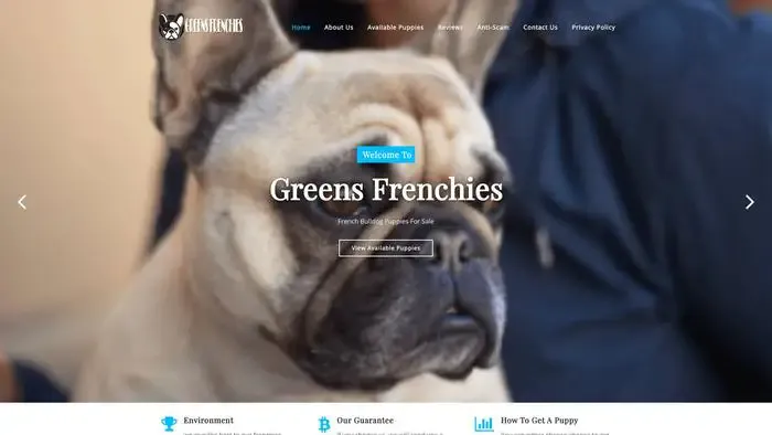 Screenshot of