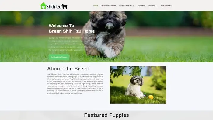 Screenshot of