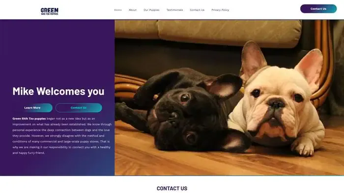 Screenshot of