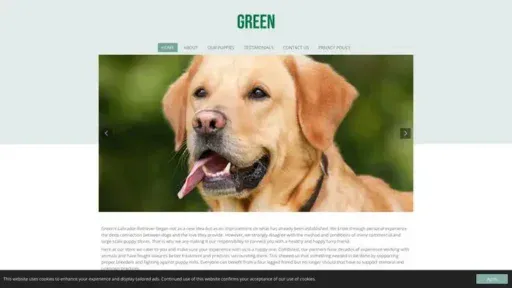 Screenshot of