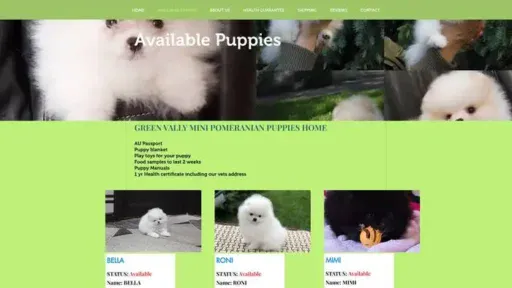 Screenshot of