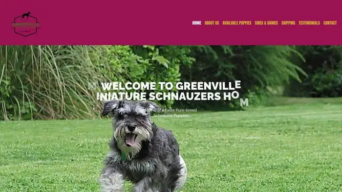 Screenshot of