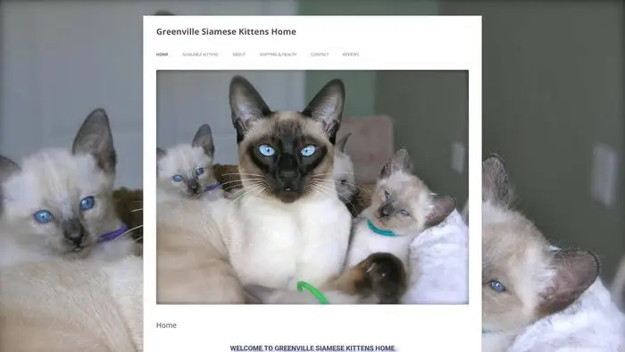 Screenshot of