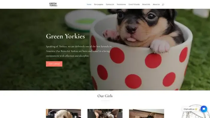 Screenshot of