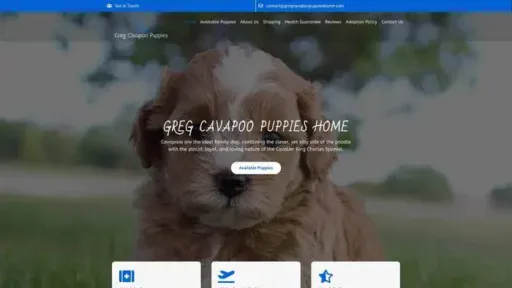Screenshot of