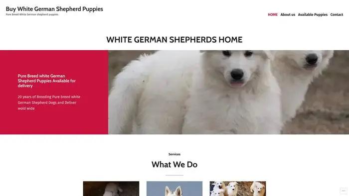 Screenshot of