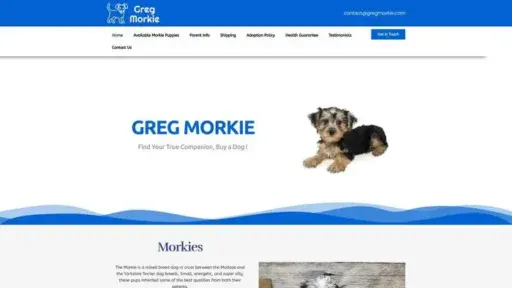 Screenshot of