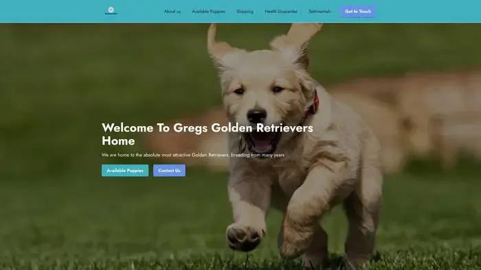 Screenshot of