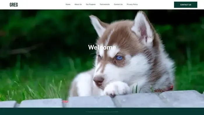 Screenshot of
