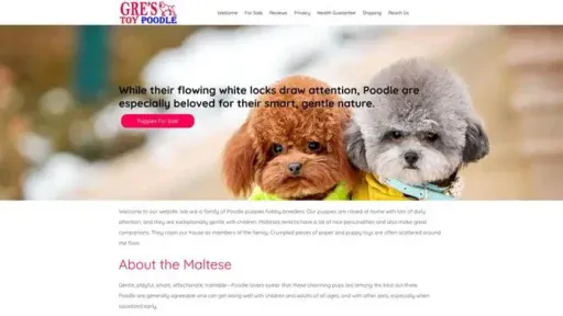 Screenshot of